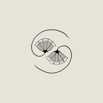 GODSPEED YOU! BLACK EMPEROR - G_d's Pee AT STATE'S END!